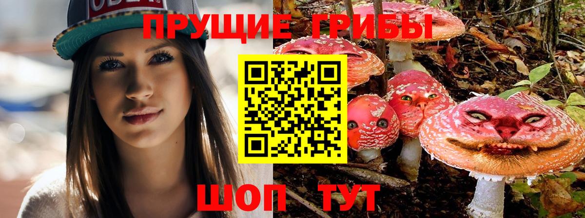 Псилоцибиновые грибы ЛСД Ишим