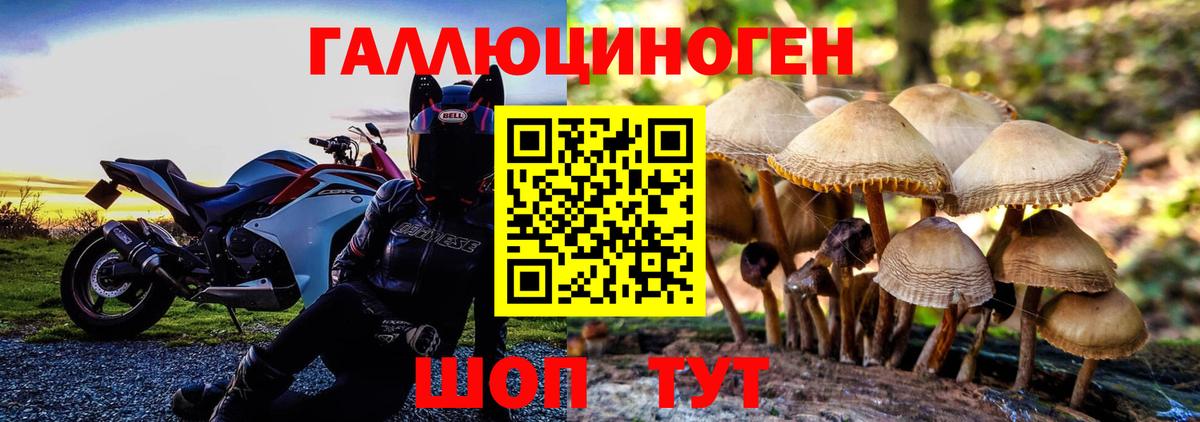 Галлюциногенные грибы Cubensis  Псилоцибиновые грибы MAGIC MUSHROOMS  Ишим  купить наркоту  Вход с VPN 